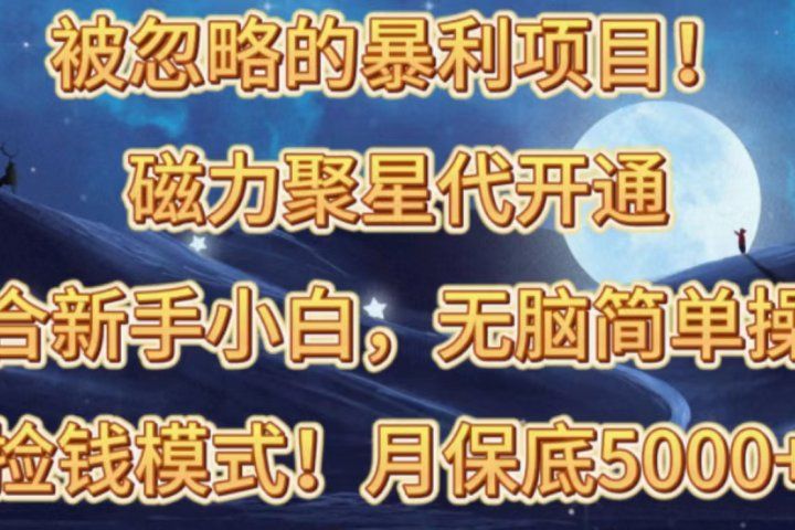 被忽略的暴利项目！磁力聚星代开通捡钱模式，轻松月入五六千去创吧-网创项目资源站-副业项目-创业项目-搞钱项目黑蛋搞钱