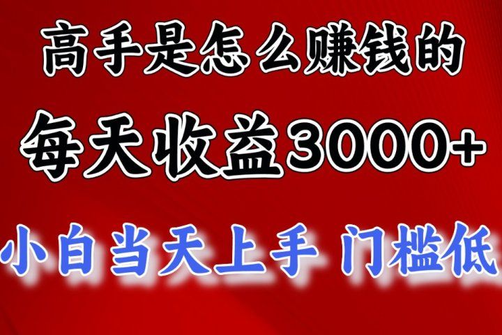 高手是怎么赚钱的，一天收益3000+ 这是穷人逆风翻盘的一个项目，非常稳去创吧-网创项目资源站-副业项目-创业项目-搞钱项目黑蛋搞钱