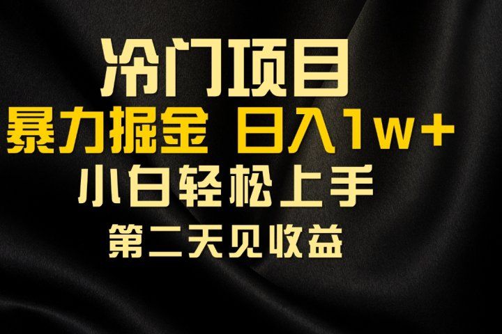 冷门项目，靠一款软件日入10000+暴力掘金小白轻松上手，第二天见收益去创吧-网创项目资源站-副业项目-创业项目-搞钱项目黑蛋搞钱