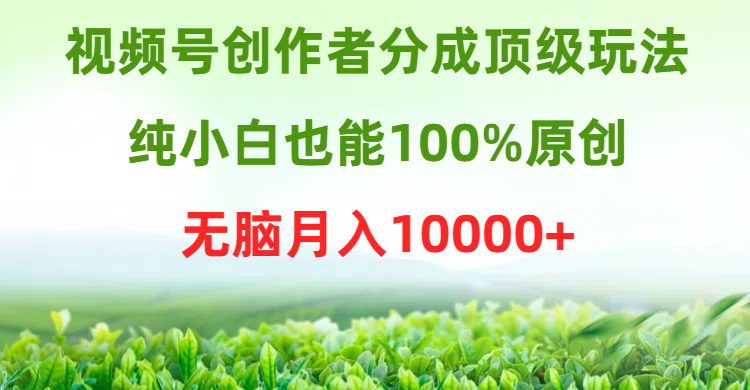 视频号创作者分成顶级玩法，纯小白也能100%原创，无脑月入10000+去创吧-网创项目资源站-副业项目-创业项目-搞钱项目黑蛋搞钱