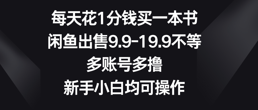 每天花1分钱买一本书，闲鱼出售9.9-19.9不等，多账号多撸，新手小白均可操作去创吧-网创项目资源站-副业项目-创业项目-搞钱项目黑蛋搞钱