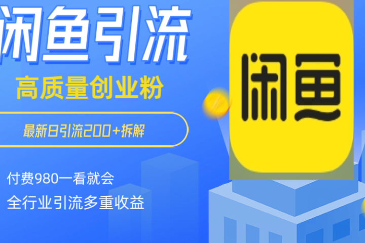 闲鱼 如何做到日引流 200+ 高 质 量 创业 粉付 费 980 拆解全 赛 道粉 丝 一看就会去创吧-网创项目资源站-副业项目-创业项目-搞钱项目黑蛋搞钱