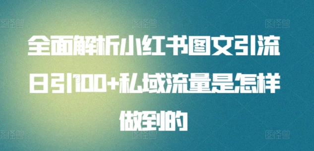 全面解析小红书图文引流日引100私域流量是怎样做到的去创吧-网创项目资源站-副业项目-创业项目-搞钱项目黑蛋搞钱