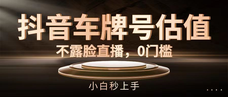 抖音车牌号估值，不露脸直播，0门槛，小白秒上手去创吧-网创项目资源站-副业项目-创业项目-搞钱项目黑蛋搞钱