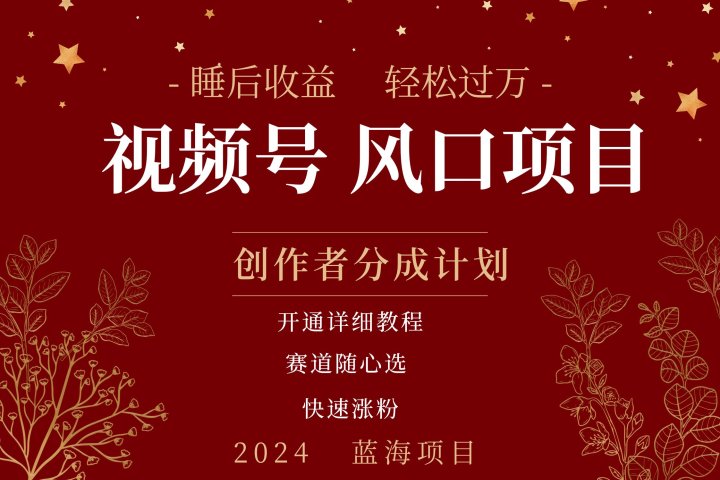 拥有睡眠收益的微信视频号大风口项目，轻松月入过万+，多赛道选择，可矩阵，玩法简单轻松上手去创吧-网创项目资源站-副业项目-创业项目-搞钱项目黑蛋搞钱