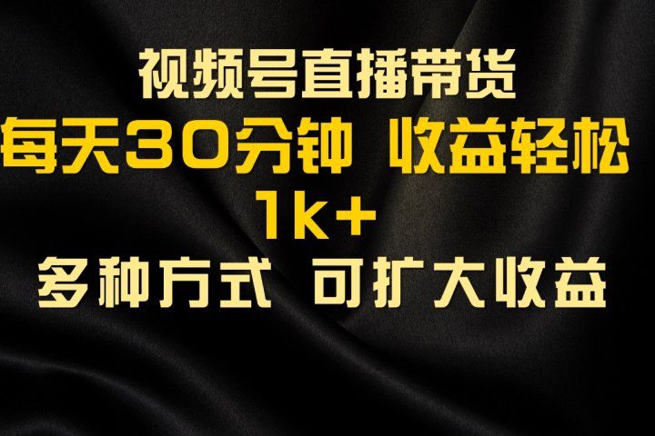 视频号直播带货，2024年最新骚操作，独家玩法，小白轻松上手去创吧-网创项目资源站-副业项目-创业项目-搞钱项目黑蛋搞钱