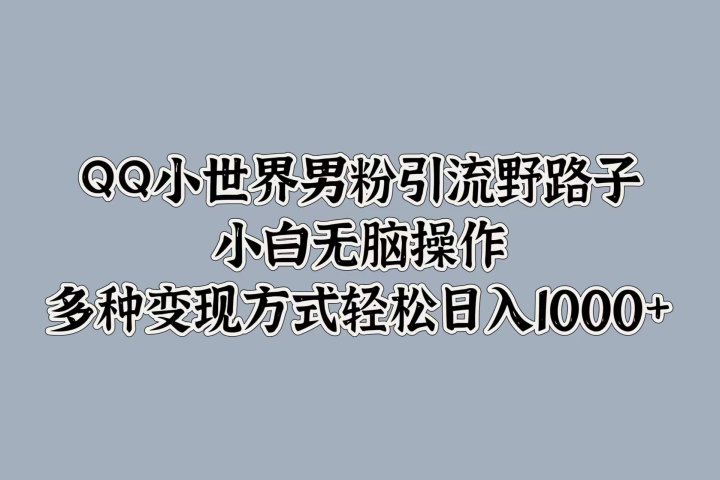 QQ小世界男粉引流野路子，小白无脑操作，多种变现方式轻松日入1000+去创吧-网创项目资源站-副业项目-创业项目-搞钱项目黑蛋搞钱