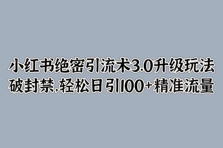小红书绝密引流术3.0升级玩法，破封禁，轻松日引100+精准流量去创吧-网创项目资源站-副业项目-创业项目-搞钱项目黑蛋搞钱