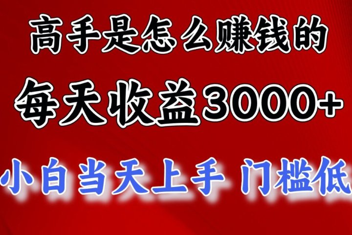 一天收益3000左右，长期项目，很稳定！去创吧-网创项目资源站-副业项目-创业项目-搞钱项目黑蛋搞钱