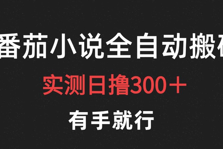 最新番茄小说挂机搬砖，日撸300＋！有手就行，可矩阵放大去创吧-网创项目资源站-副业项目-创业项目-搞钱项目黑蛋搞钱