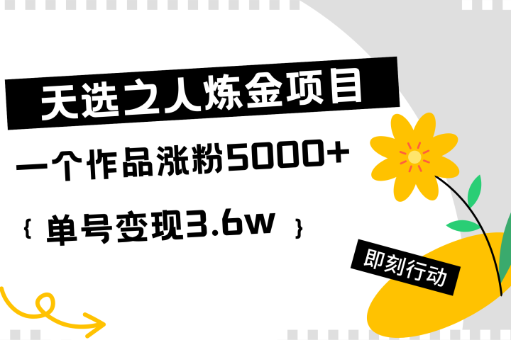 天选之人炼金项目，一个作品涨粉5000+，单号变现3.6w去创吧-网创项目资源站-副业项目-创业项目-搞钱项目黑蛋搞钱