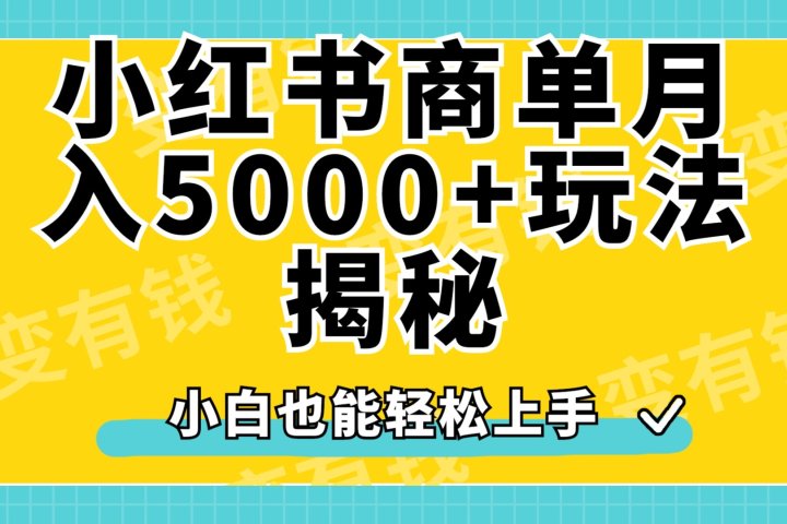 小红书商单原创起号玩法揭秘，小白月入5000+去创吧-网创项目资源站-副业项目-创业项目-搞钱项目黑蛋搞钱