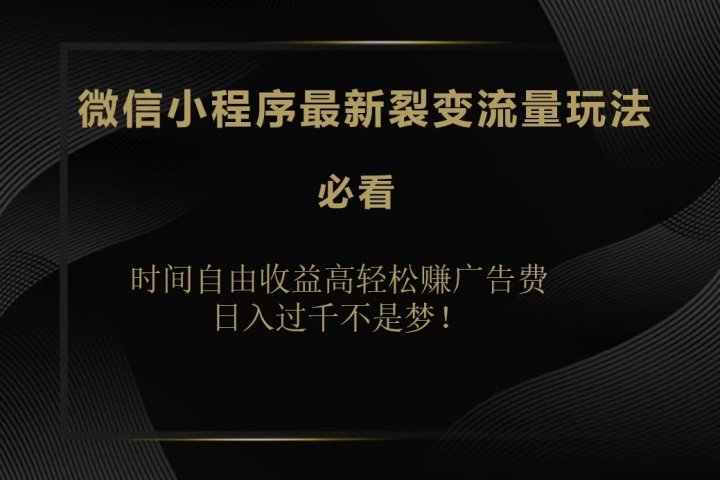 微信小程序最新裂变流量玩法，时间自由收益高轻松赚广告费，日入200-500+去创吧-网创项目资源站-副业项目-创业项目-搞钱项目黑蛋搞钱