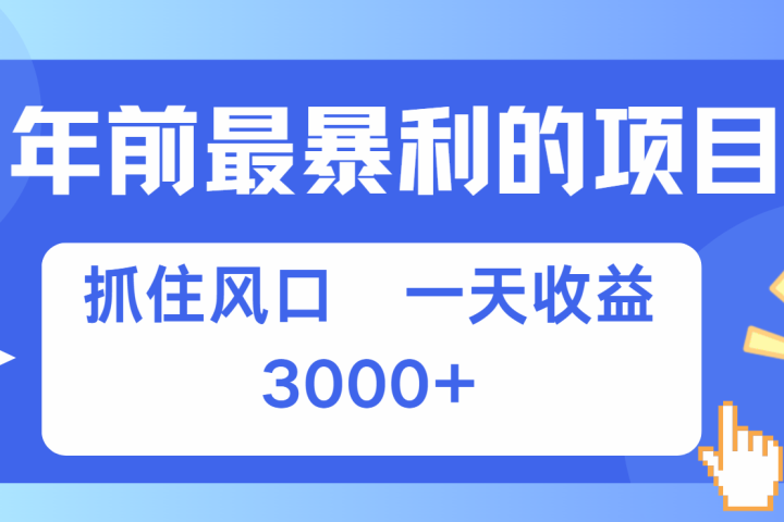 年前最赚钱的项目之一，可以过个肥年去创吧-网创项目资源站-副业项目-创业项目-搞钱项目黑蛋搞钱