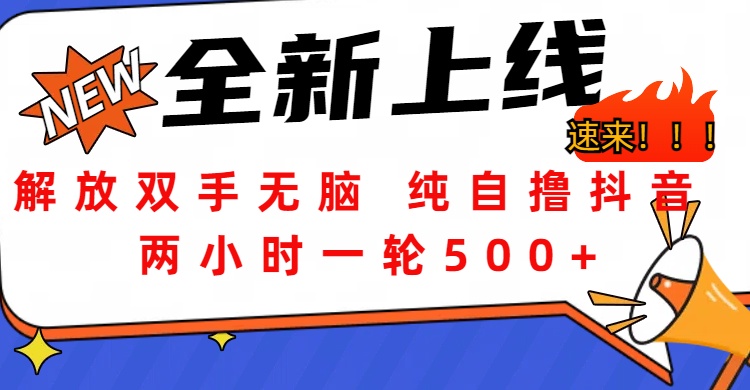 解放双手无脑 纯自撸抖音 两小时一轮500+去创吧-网创项目资源站-副业项目-创业项目-搞钱项目黑蛋搞钱