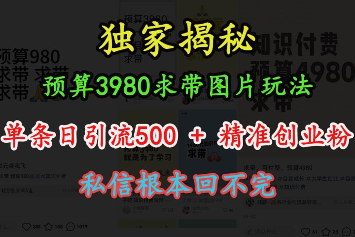 “小红书”预算3980求带 图片玩法，单条日引流500+精准创业粉，私信根本回不完去创吧-网创项目资源站-副业项目-创业项目-搞钱项目黑蛋搞钱