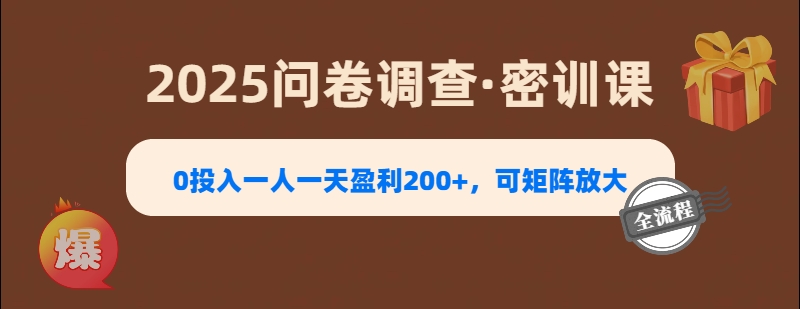 2025《问卷调查》0投入一人一天盈利200+，可矩阵放大去创吧-网创项目资源站-副业项目-创业项目-搞钱项目黑蛋搞钱