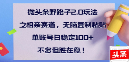 全网首发微头条野路子2.0玩法之相亲赛道，无脑搬砖复制粘贴，单账号日稳定300+保姆级教程去创吧-网创项目资源站-副业项目-创业项目-搞钱项目黑蛋搞钱