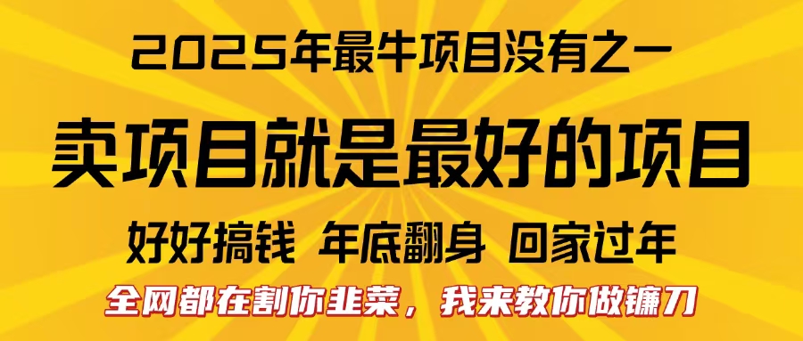 全网都在割你韭菜，我来教你做镰刀。卖项目就是最好的项目，2025年最牛互联网项目去创吧-网创项目资源站-副业项目-创业项目-搞钱项目黑蛋搞钱