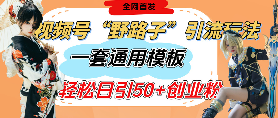 视频号“野路子”玩法，评论区疯狂截流，一套模板单日单号引流50+创业粉网创吧-网创项目资源站-副业项目-创业项目-搞钱项目黑蛋搞钱