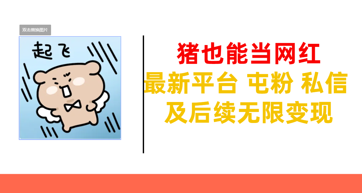 猪也能当网红-最新平台 屯粉 交流 私信 及后续无限变现去创吧-网创项目资源站-副业项目-创业项目-搞钱项目黑蛋搞钱