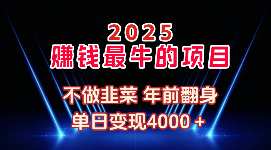 2025年赚钱最牛的项目 不做韭菜 年前翻身去创吧-网创项目资源站-副业项目-创业项目-搞钱项目黑蛋搞钱