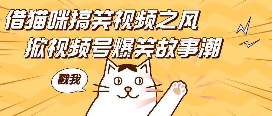 借猫咪搞笑视频之风，掀视频号爆笑故事潮，轻松日赚四位数，开启无门槛赚钱新体验！去创吧-网创项目资源站-副业项目-创业项目-搞钱项目黑蛋搞钱