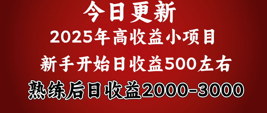 好项目一眼就能看出来，日收益1000，长久可做，2025拼的就是我比你勤奋去创吧-网创项目资源站-副业项目-创业项目-搞钱项目黑蛋搞钱