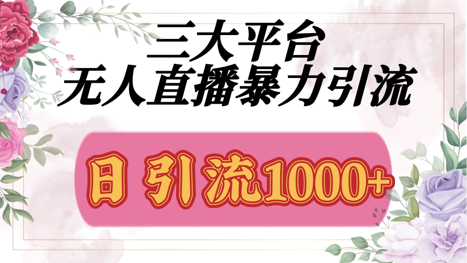 抖音，快手，视频号全平台通用，无人直播引流法，利用图片,模板,整套话术挂机全天支持矩阵操作，无限设备多开，超暴力引流，1000+高质量精准创业粉去创吧-网创项目资源站-副业项目-创业项目-搞钱项目黑蛋搞钱