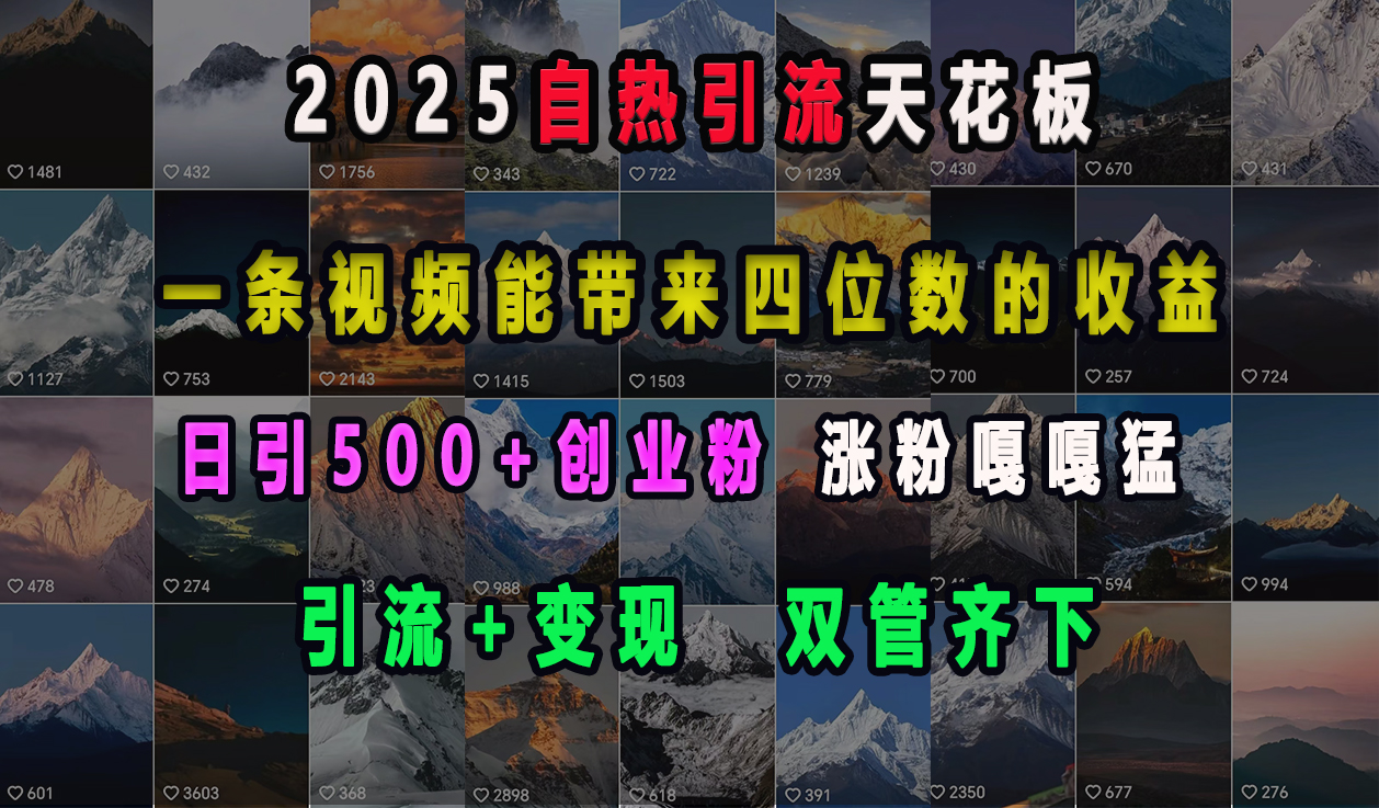 2025自热引流天花板，一条视频能带来四位数的收益，引流+变现双管齐下，日引500+创业粉，涨粉嘎嘎猛去创吧-网创项目资源站-副业项目-创业项目-搞钱项目黑蛋搞钱