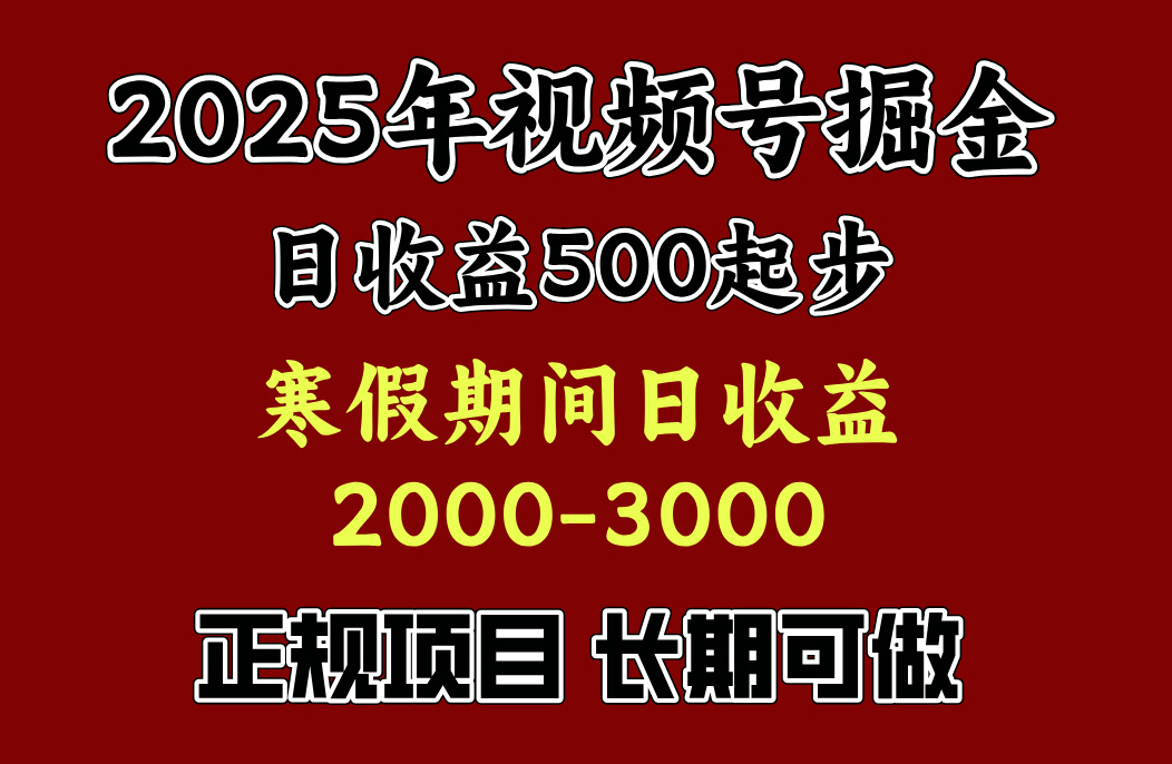 寒假期间一天收益2000+，小白一天就能上手去创吧-网创项目资源站-副业项目-创业项目-搞钱项目黑蛋搞钱
