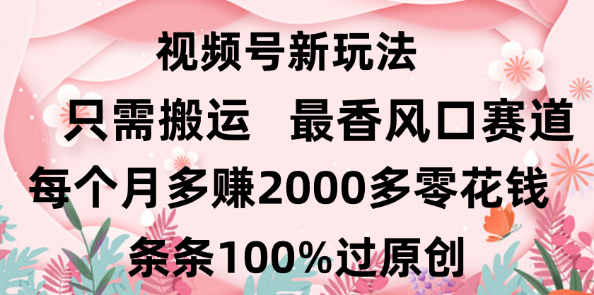 日入2000+，条条100%过原创，视频号最香风口赛道，小白轻松上手去创吧-网创项目资源站-副业项目-创业项目-搞钱项目黑蛋搞钱