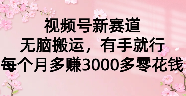 视频号新赛道，无脑搬运，有手就行，每个月多赚3000多零花钱去创吧-网创项目资源站-副业项目-创业项目-搞钱项目黑蛋搞钱