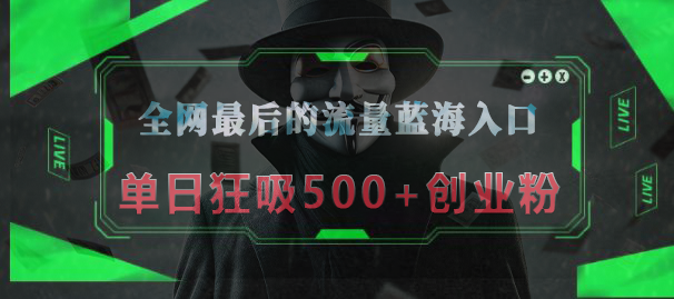 全网最后的流量蓝海入口，半小时引流50+创业粉，单日狂吸500+创业粉去创吧-网创项目资源站-副业项目-创业项目-搞钱项目黑蛋搞钱