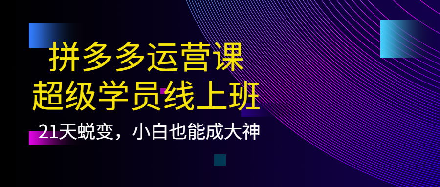 拼多多运营课：超级学员线上班，21天蜕变，小白也能成大神去创吧-网创项目资源站-副业项目-创业项目-搞钱项目黑蛋搞钱