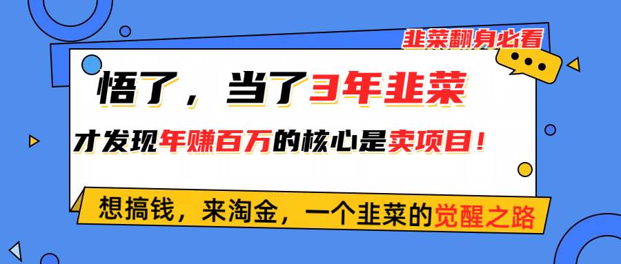 悟了，当了3年韭菜，才发现网赚圈年赚100万的核心是卖项目，含泪分享！去创吧-网创项目资源站-副业项目-创业项目-搞钱项目黑蛋搞钱
