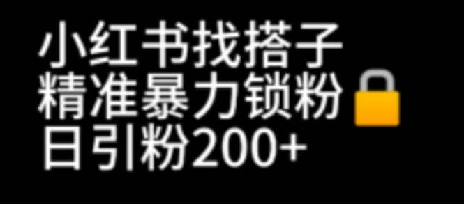 小红书找搭子暴力精准锁粉+引流日引200+精准粉去创吧-网创项目资源站-副业项目-创业项目-搞钱项目黑蛋搞钱