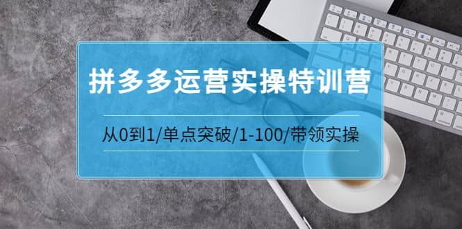 拼多多运营实操特训营：从0到1/单点突破/1-100/带领实操 价值2980元去创吧-网创项目资源站-副业项目-创业项目-搞钱项目黑蛋搞钱