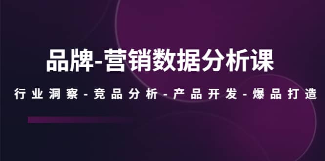 品牌-营销数据分析课，行业洞察-竞品分析-产品开发-爆品打造去创吧-网创项目资源站-副业项目-创业项目-搞钱项目黑蛋搞钱