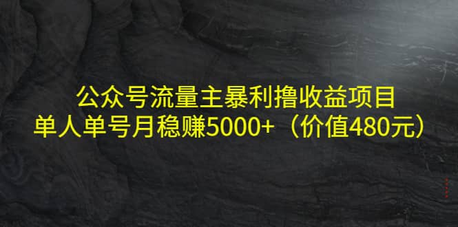 公众号流量主暴利撸收益项目，单人单号月稳赚5000+（价值480元）去创吧-网创项目资源站-副业项目-创业项目-搞钱项目黑蛋搞钱