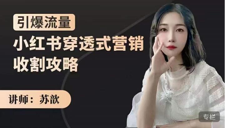 小红书穿透式营销收割攻略，引爆流量，助你玩转小红书去创吧-网创项目资源站-副业项目-创业项目-搞钱项目黑蛋搞钱
