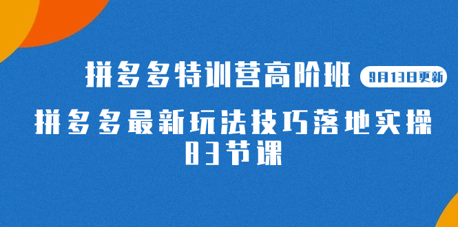 2023拼多多·特训营高阶班【9月13日更新】拼多多最新玩法技巧落地实操-83节去创吧-网创项目资源站-副业项目-创业项目-搞钱项目黑蛋搞钱