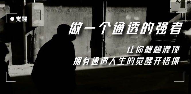 觉醒-做一个通透强者，让你醍醐灌顶，拥有通透人生，掌握强大的秘密去创吧-网创项目资源站-副业项目-创业项目-搞钱项目黑蛋搞钱