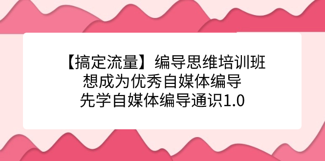 【搞定流量】编导思维培训班，想成为优秀自媒体编导先学自媒体编导通识1.0去创吧-网创项目资源站-副业项目-创业项目-搞钱项目黑蛋搞钱