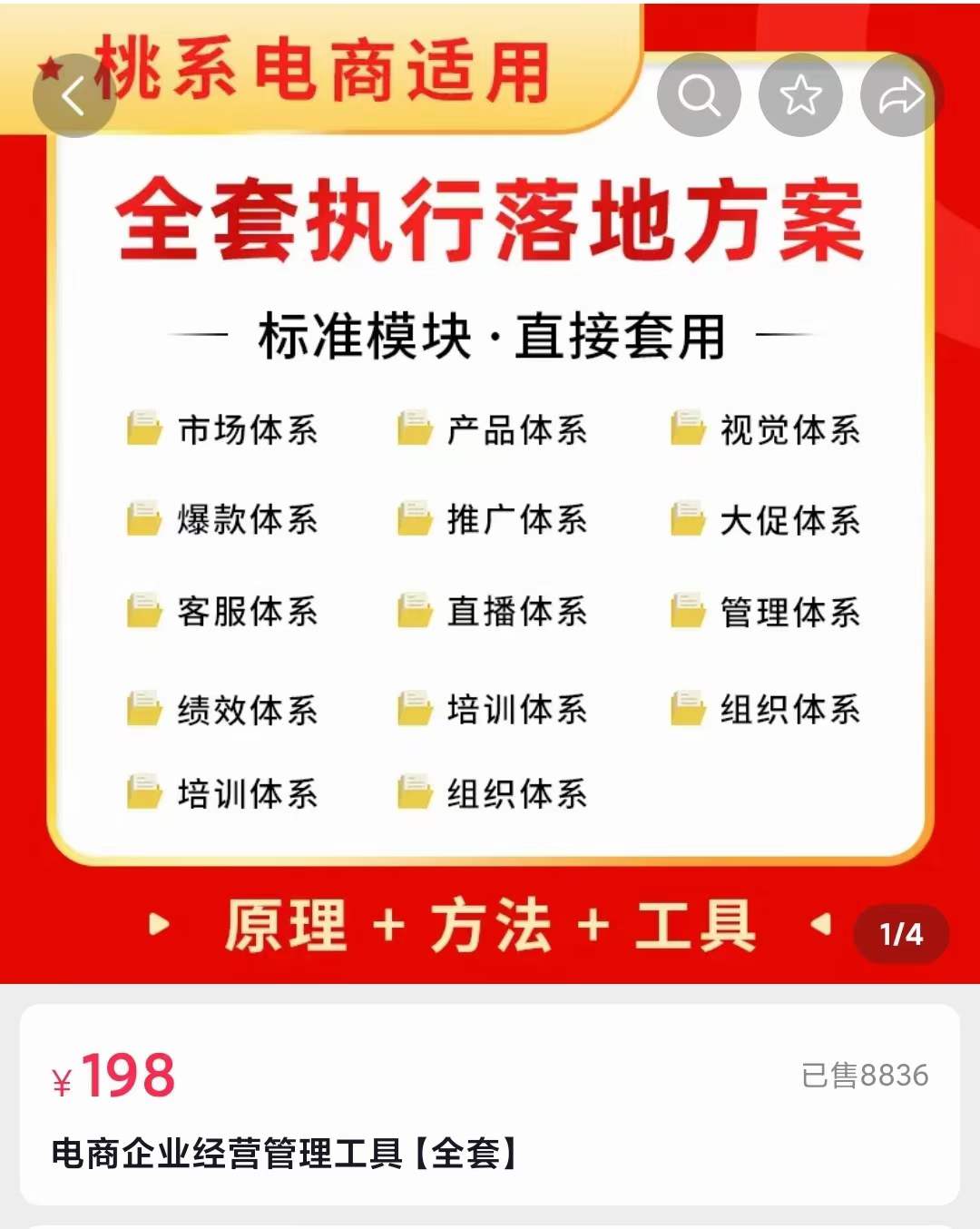外面卖198·电商企业经营管理工具：全套执行落地方案 标准模块·直接套用去创吧-网创项目资源站-副业项目-创业项目-搞钱项目黑蛋搞钱