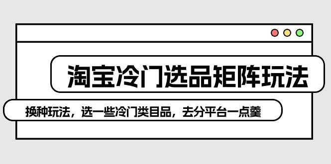 淘宝冷门选品矩阵玩法：换种玩法，选一些冷门类目品，去分平台一点羹去创吧-网创项目资源站-副业项目-创业项目-搞钱项目黑蛋搞钱