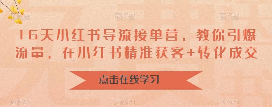 16天-小红书 导流接单营，教你引爆流量，在小红书精准获客+转化成交去创吧-网创项目资源站-副业项目-创业项目-搞钱项目黑蛋搞钱