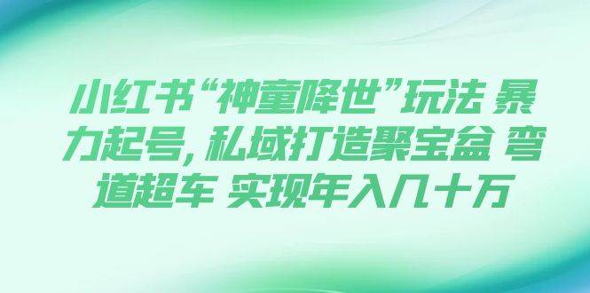 小红书“神童降世”玩法 暴力起号,私域打造聚宝盆 弯道超车 实现年入几十万去创吧-网创项目资源站-副业项目-创业项目-搞钱项目黑蛋搞钱