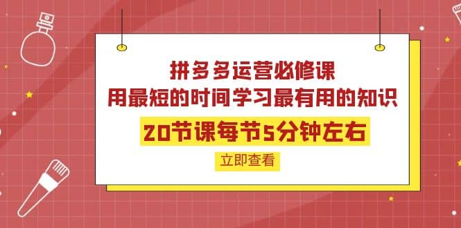 拼多多运营必修课：20节课每节5分钟左右，用最短的时间学习最有用的知识去创吧-网创项目资源站-副业项目-创业项目-搞钱项目黑蛋搞钱
