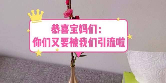 恭喜宝妈们：你们又要被我们引流了（教程+222g资料）去创吧-网创项目资源站-副业项目-创业项目-搞钱项目黑蛋搞钱